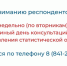 Пензастат проводит еженедельные консультации по порядку предоставления отчетности - Белинский район
