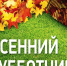 В Белинском районе 11октября 2025 года будет проводиться субботник по благоустройству и санитарной очистке территорий населенных пунктов - Белинский район