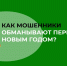 Озвучены популярные схемы мошенников на Новый год - Белинский район