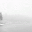 Погодные условия - Белинский район